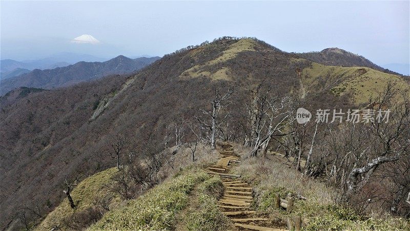 Mount Tanzawa (丹沢山) in Kanagawa, Japan